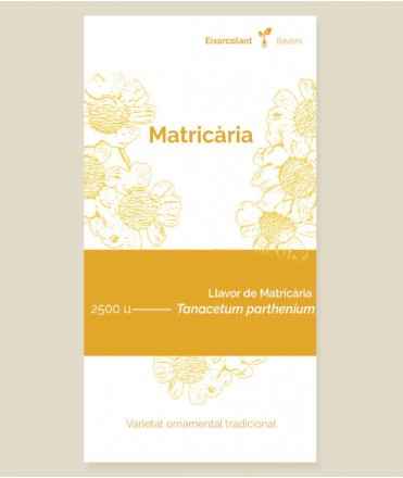 Llavors de Matricària