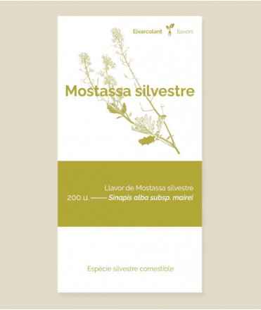 Semillas de Mostaza silvestre