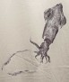 Camiseta Gyotaku
