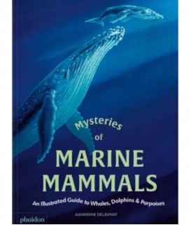 Mysteries of Marine Mammals