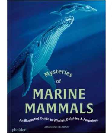Mysteries of Marine Mammals