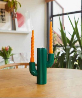 Candelabre Cactus