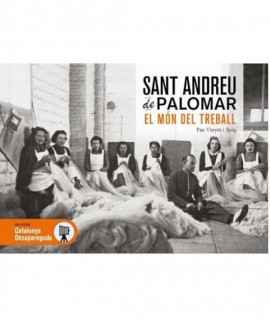 Sant Andreu de Palomar desaparegut 2