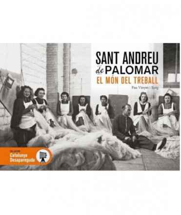 Sant Andreu de Palomar desaparegut 2