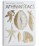 Aphrodisiacs