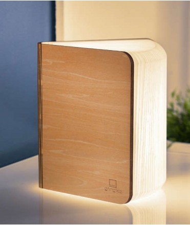 Lampara Smart Book Light