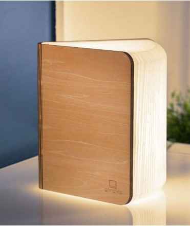 Làmpada Smart Book Light