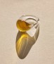 Anell Viognier