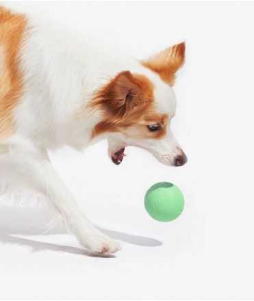 Pilota intel·ligent Cheerble PE verda