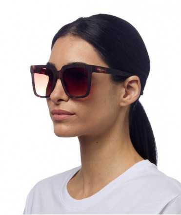 Gafas de sol Roma Classic Havana