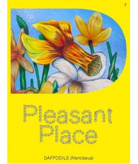 Pleasant Place 7. Daffodils (Narcissus)