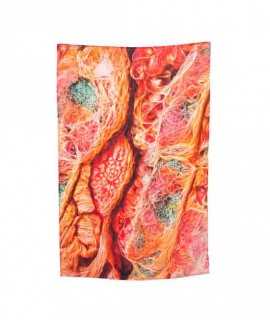 Pareo estampado, Flesh