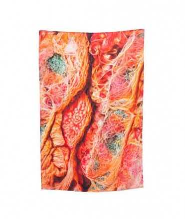 Pareo estampado, Flesh