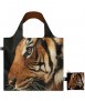 Bossa Malayan Tiger