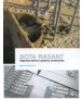 Sota Rasant Aspectes teòrics i pràctica constructiva