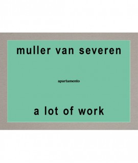 A Lot of Work, Muller Van Severen