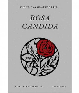 Rosa candida