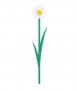 Marcapàgines The Language of Flowers Daisy