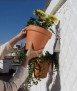 Soporte de paret para macetas, 17 cm