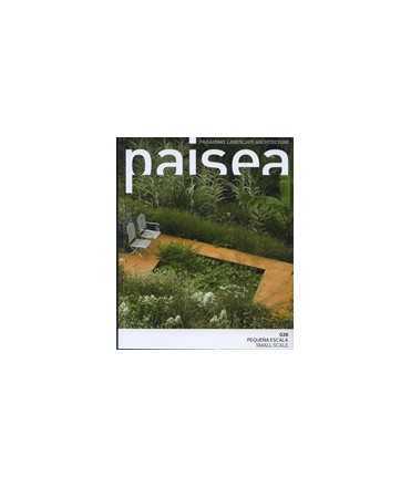 PAISEA 28, Pequeña Escala/Small Scale