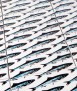 Mural de azulejos autoadhesivos Sardines, 4 uds.