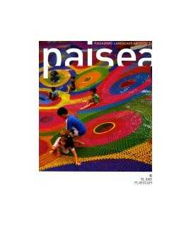 PAISEA Nº22, THE GAME