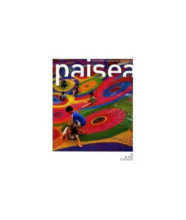 PAISEA Nº22, EL JUEGO