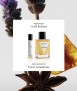 Obscuro - Eau de perfum, 75ml