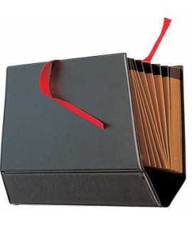Paper-size cardboard accordion
