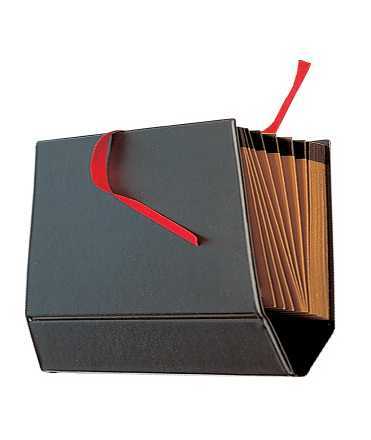 Paper-size cardboard accordion